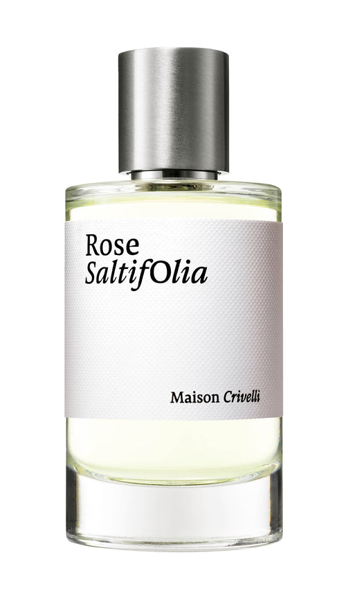 ROSE SALTIFOLIA