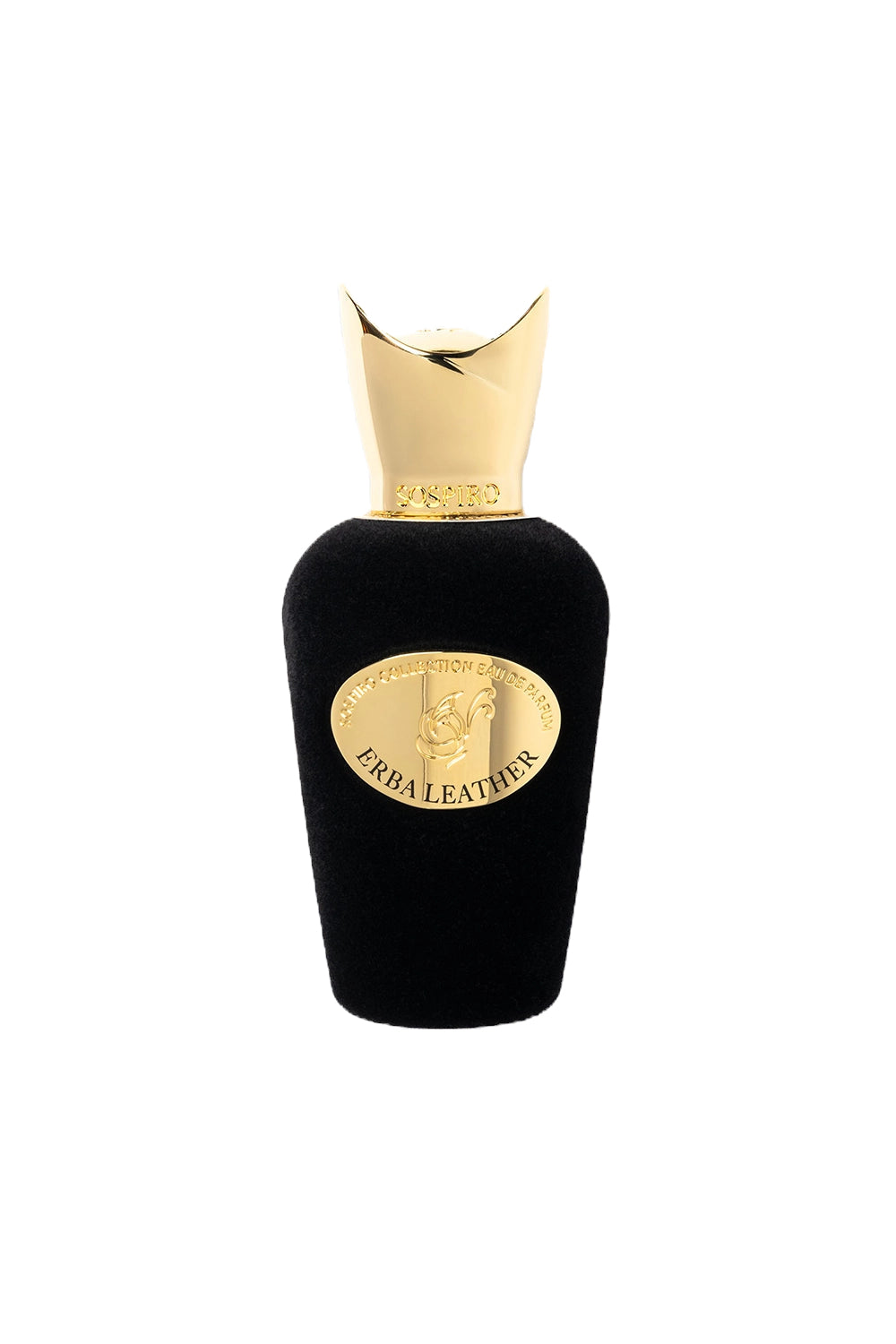 Erba Leather 100ml