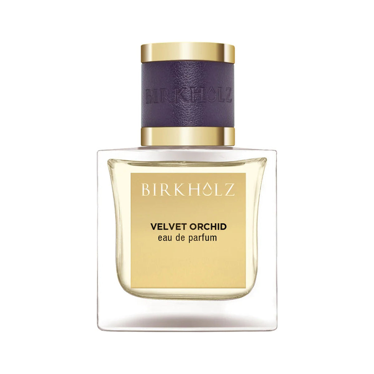 BIRKHOLZ Velvet Orchid