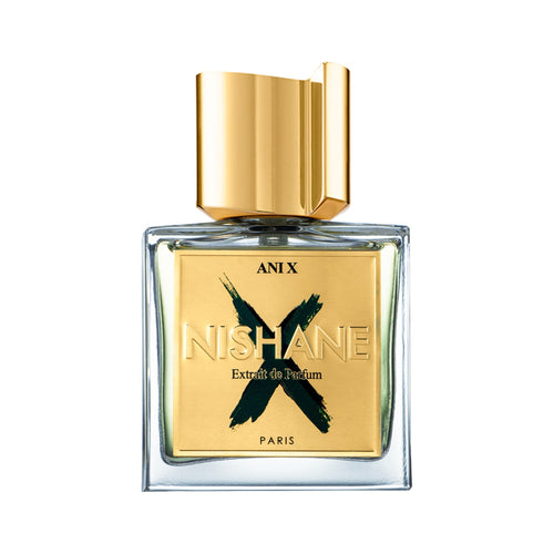 Ani X