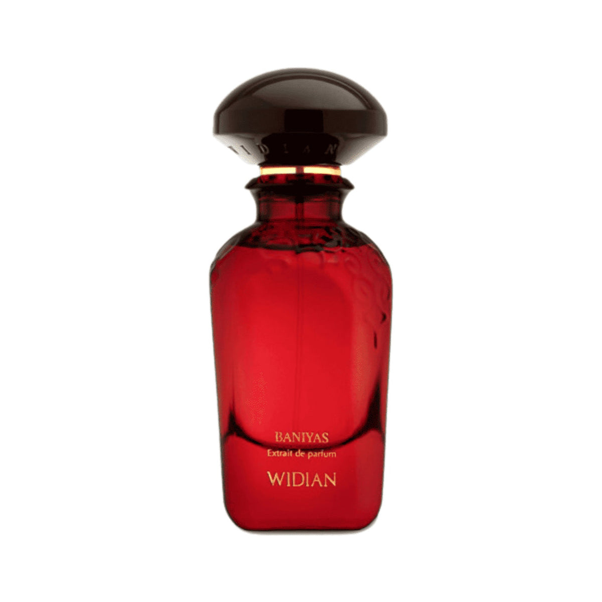 WIDIAN BANIYAS Velvet Collection